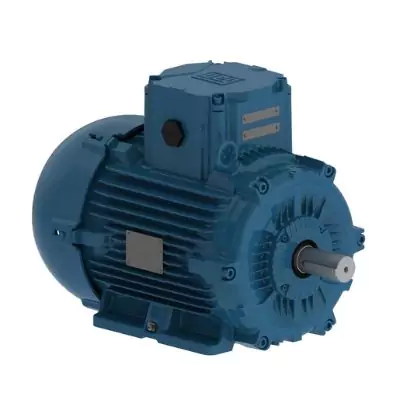 WEG 4P Electric Motor