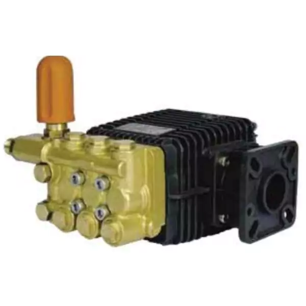 WBG-W Bertolini Direct Drive pump