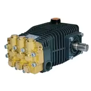 Bertolini RAL Premium Pump